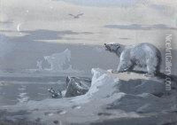 Polar Bear Oil Painting - Archibald Thorburn