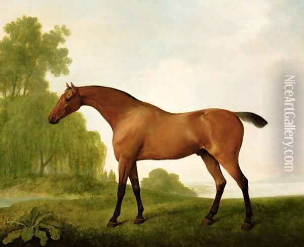 A Bay Thoroughbred in a Landscape, 1801 Oil Painting - George Stubbs