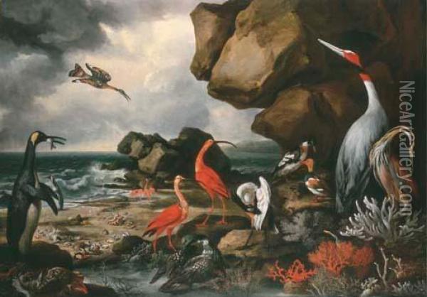 A Penguin, A Pair Of Flamingoes And Other Exotic Birds Oil Painting - Philip Reinagle