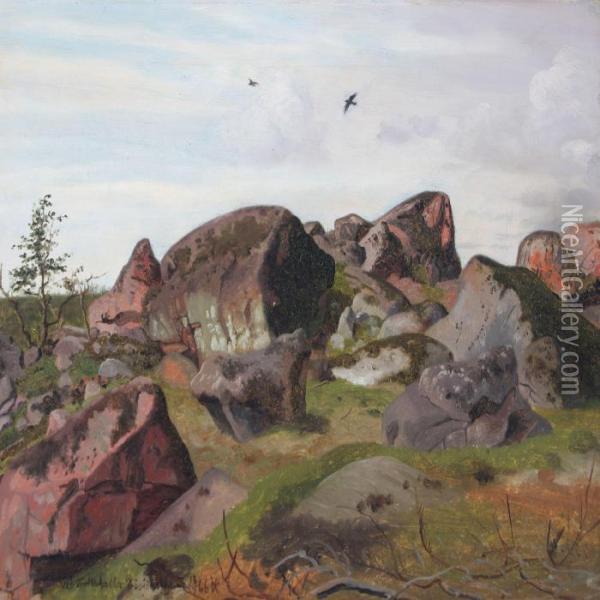 Large Rocks Near Rossjoholm Oil Painting - Vilhelm Peter C. Kyhn