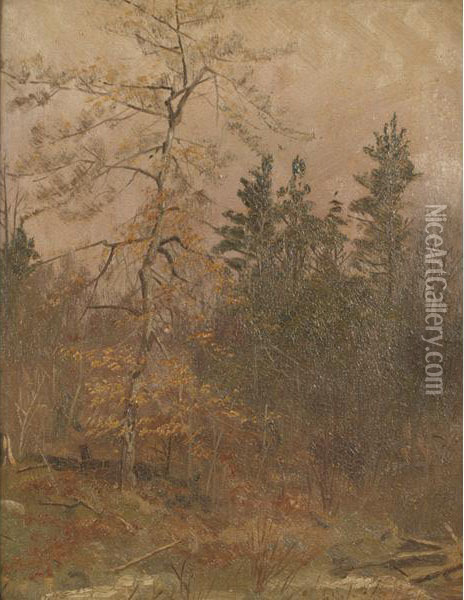 Autumn Clearing At Dusk Oil Painting - Thomas Mower Martin