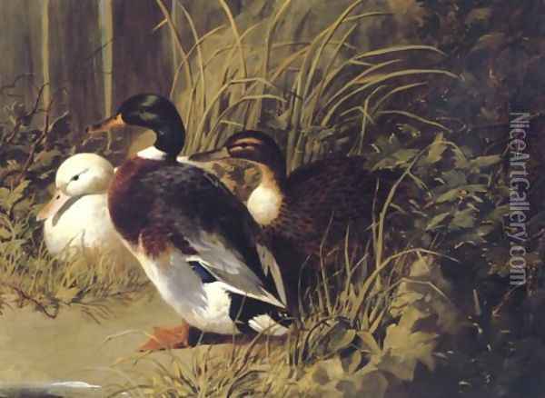 Ducks By A River Bank 1845 Oil Painting - John Frederick Herring Snr