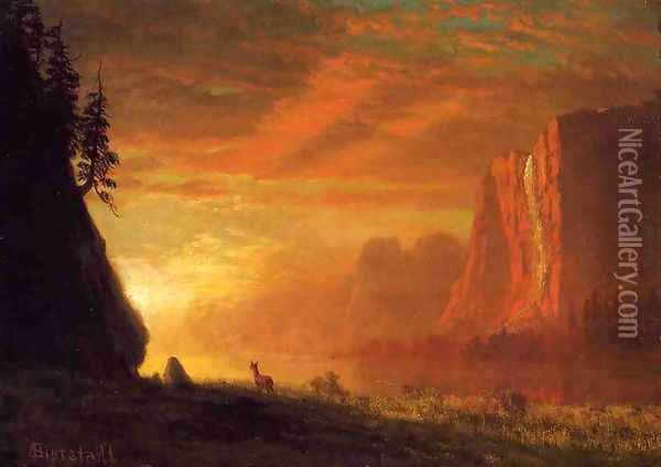 Deer At Sunset Oil Painting - Albert Bierstadt