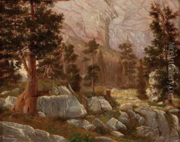 Fohren Im Hochgebirge Oil Painting - Conrad Wimmer
