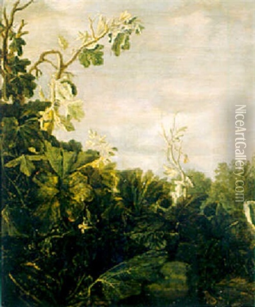 A Pumpkin, A Fig Tree And Other Plants Oil Painting - Reynier Van Der Laeck