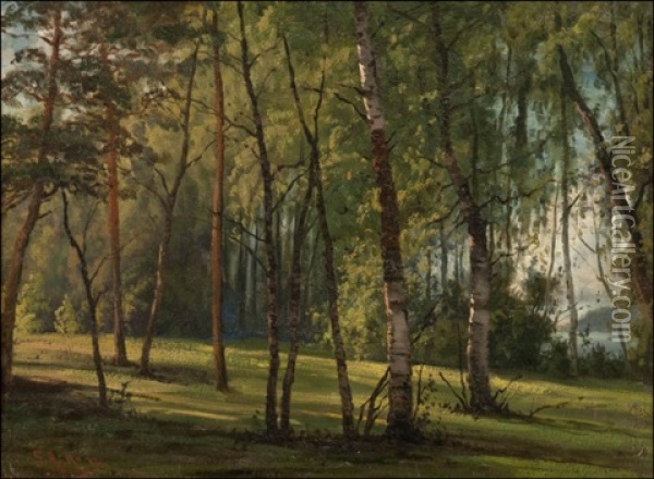 Puistonakyma Oil Painting - Sigfrid August Keinanen