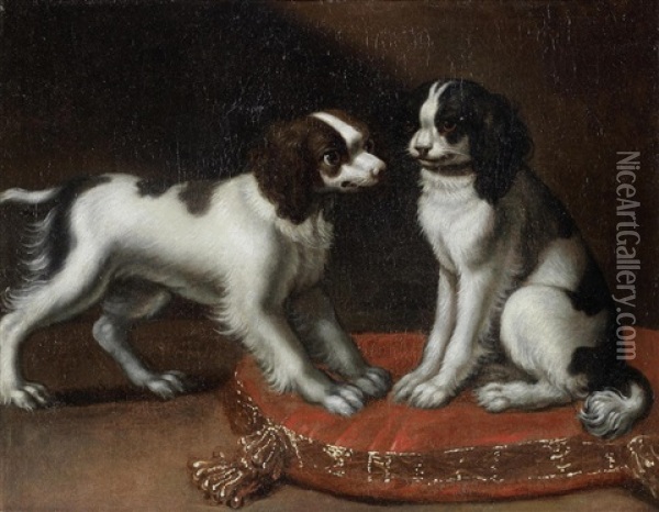 Two Spaniels On A Cushion Oil Painting - Pier Francesco Cittadini