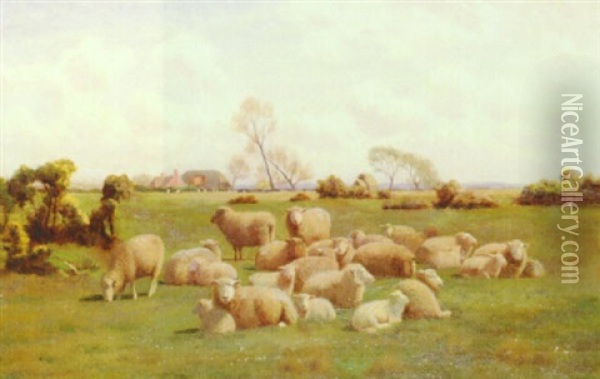 Sheep In A Meadow Oil Painting - William Sidney Cooper