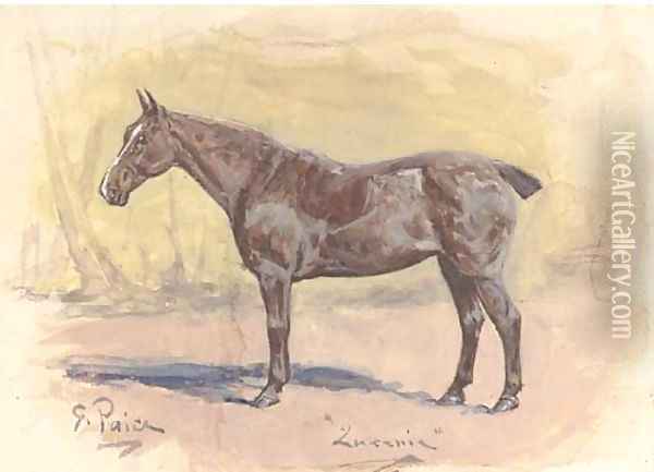 'Lucenie', a bay hunter in his stable Oil Painting - George Paice