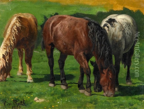 Pferdestudien Oil Painting - Caspar Von Reth