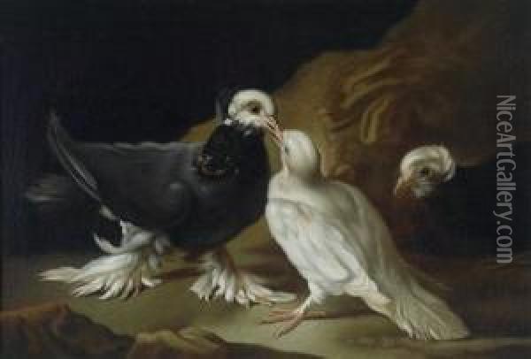 Two Doves Oil Painting - Frans Werner Von Tamm