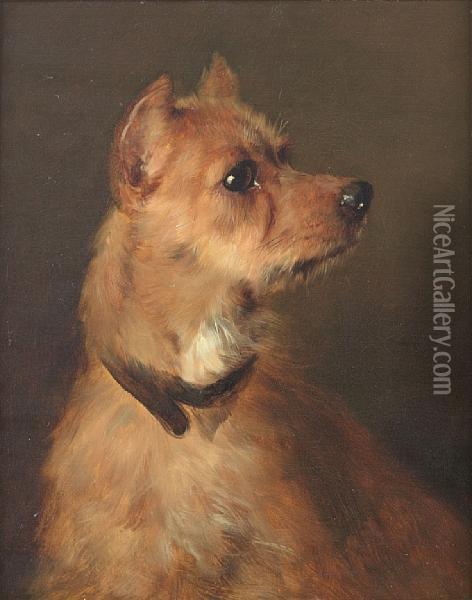 A Terrier Oil Painting - George Earl