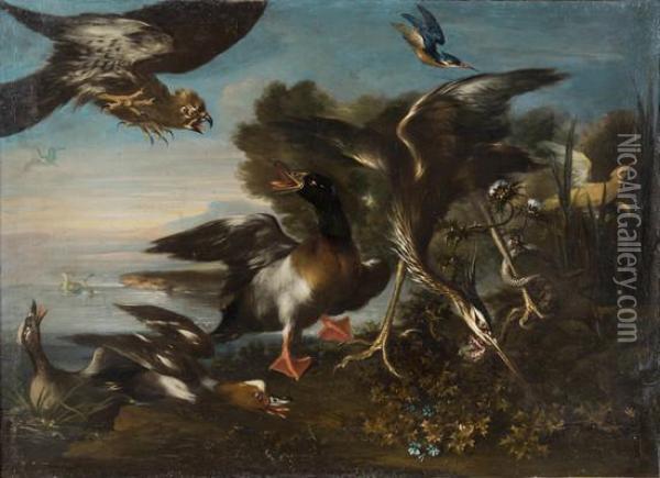 Un Airone, Anatre E Altri Uccelli In Un Paesaggio Fluviale Oil Painting - Angelo Maria Crivelli, Il Crivellone