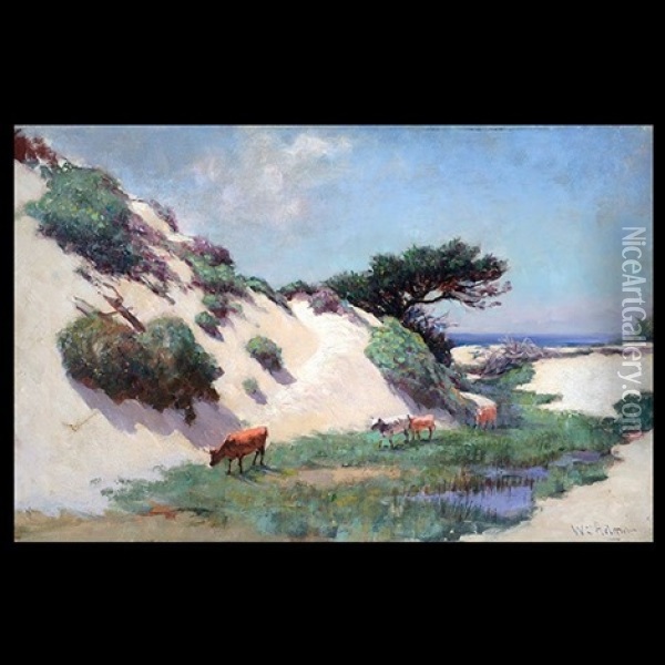 Cows In Dunes Oil Painting - William C. Adam