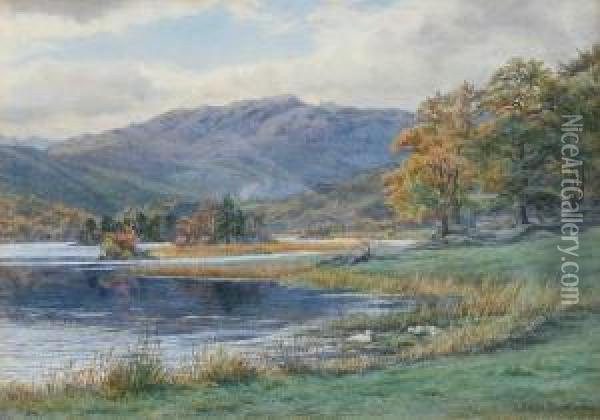 Landscape With Lake And Copse Of Trees Oil Painting - Edith Martineau
