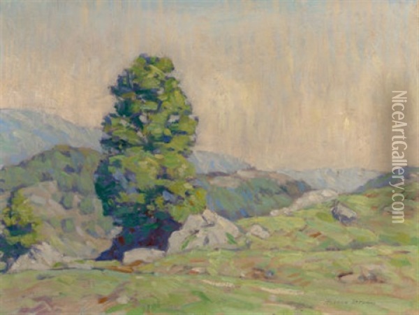 Hilly Landscape With Tree And Rocks (manchester, Vermont) Oil Painting - Horace Brown