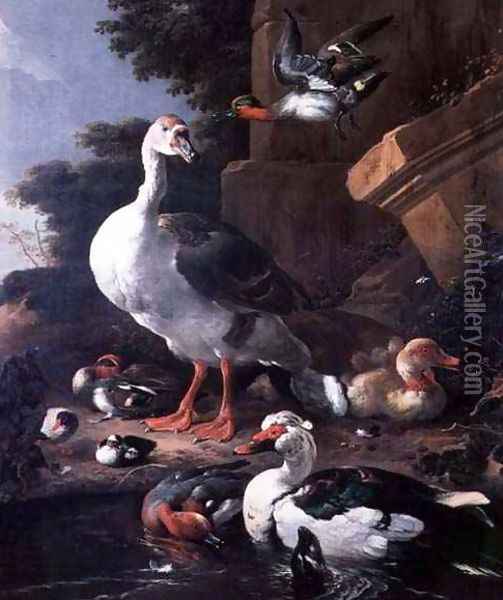 Waterfowl in a classical landscape Oil Painting - Melchior de Hondecoeter
