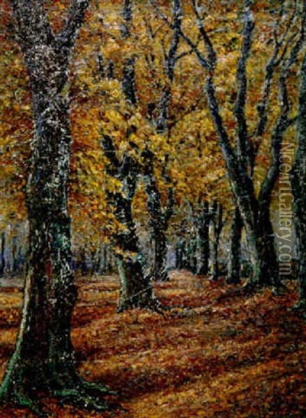 Herbstlicher Buchenwald Bei Weimar Oil Painting - Christian Rohlfs