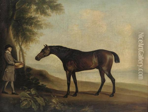 'sharke' With Master Price Oil Painting - George Stubbs