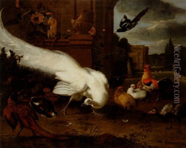Fagelmotiv Med Vit Pafagel Oil Painting - Melchior de Hondecoeter