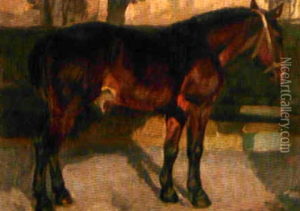 Stehendes Pferd Oil Painting - Franz Jakob Elmiger
