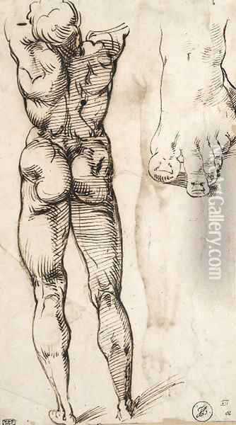 A nude seen from behind and a study of a foot Oil Painting - Bartolomeo Passarotti