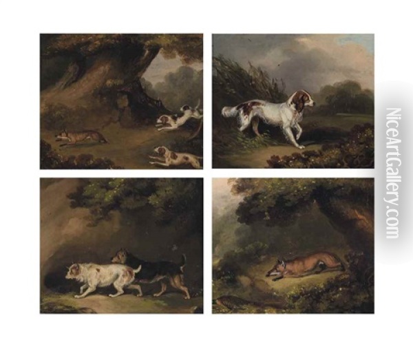 Four Sporting Scenes: A Fox And A Pheasant; Hounds Chasing A Fox; Two Terriers On The Scent; And A Retriever Oil Painting - Samuel Raven