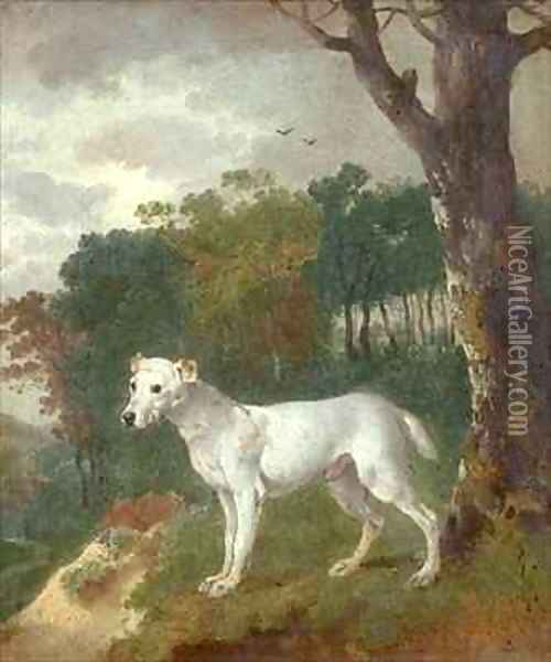 Bumper a Bull Terrier Oil Painting - Thomas Gainsborough