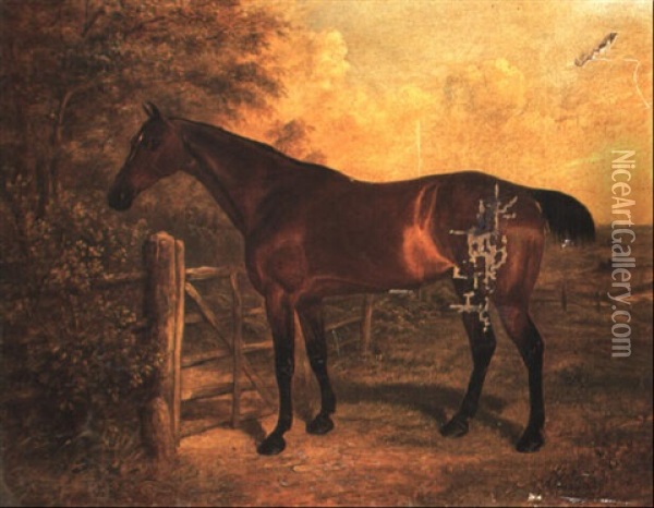 Study Of A Dark Bay Horse In A Landscape Oil Painting - Benjamin Cam Norton