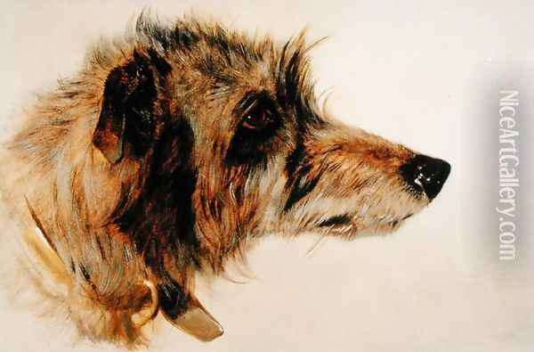 Head of a Dog Oil Painting - Richard Ansdell