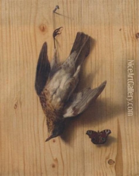 A Trompe L'oeil Of A Thrush Suspended From A Nail And A Butterfly Oil Painting - Jacobus Biltius