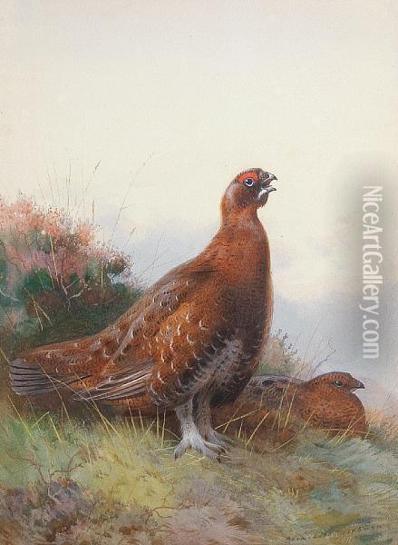 The Morning Call Oil Painting - Archibald Thorburn