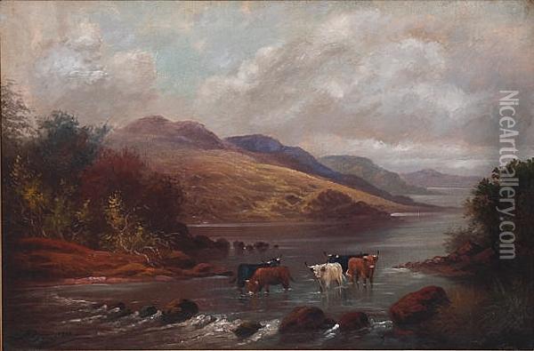 Study Of Highland Cattle Watering In Amountainous Landscape, On Canvas, Signed And Dated 1922 Lower Left Oil Painting - G. Davis