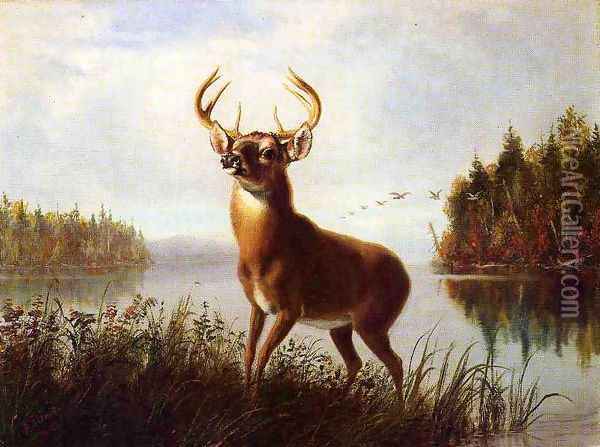 Eight Point Stag Oil Painting - Arthur Fitzwilliam Tait