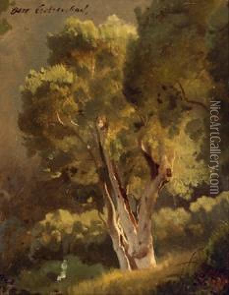 Baumstudie Oil Painting - Oswald Achenbach