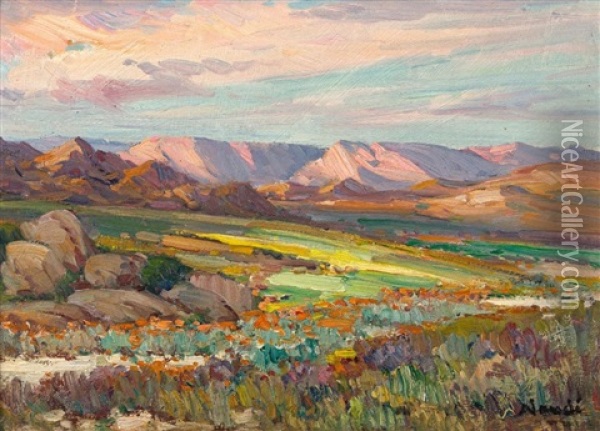 Springtime In Namaqualand Oil Painting - Pieter Hugo Naude