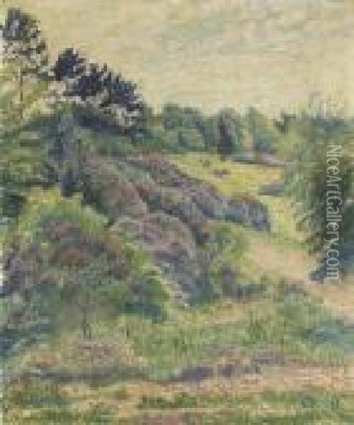 Rhododendrons, Hawkchurch Oil Painting - Lucien Pissarro