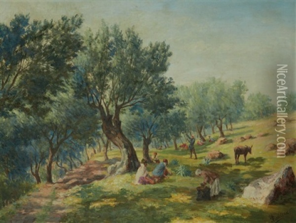 La Cueillette Des Olives Gathering The Olives Oil Painting - Alcide Bariteau