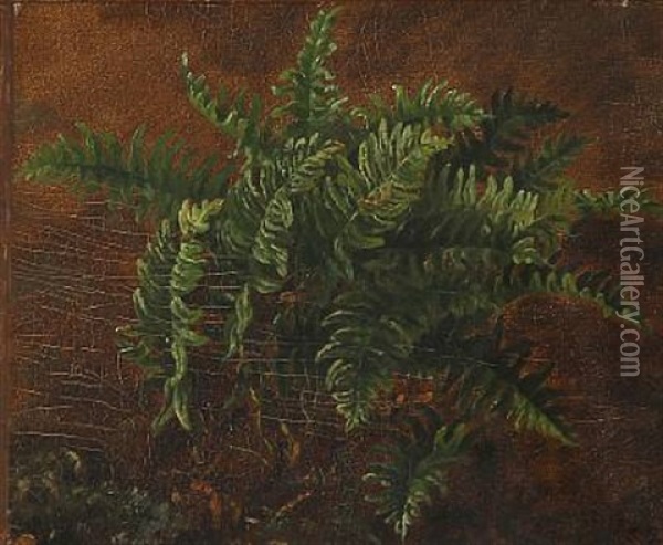 Ferns Oil Painting - Carl Henrik Bogh