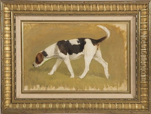 A Study Of A Hound Oil Painting - Dermod O'Brien