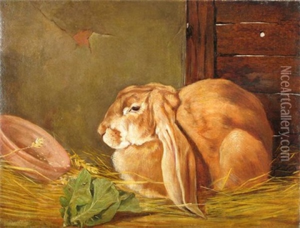 Lop-eared Rabbit In A Stable Oil Painting - Arthur Batt