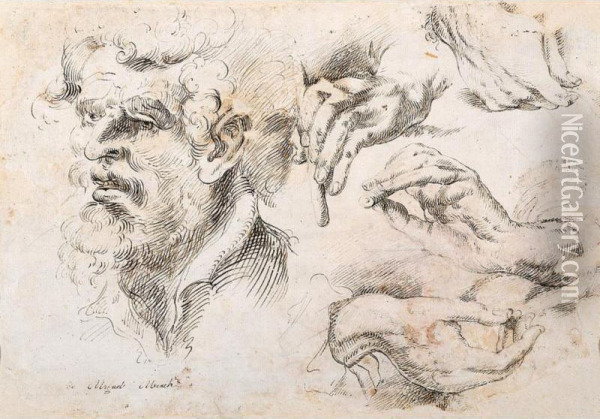 A Sheet Of Studies: A Bearded Head And Various Hands Oil Painting - Miguel March