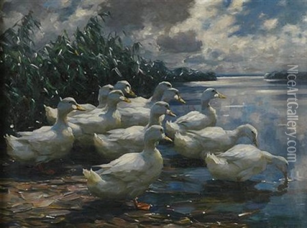 Ducks In Early Morning Sun Oil Painting - Alexander Max Koester