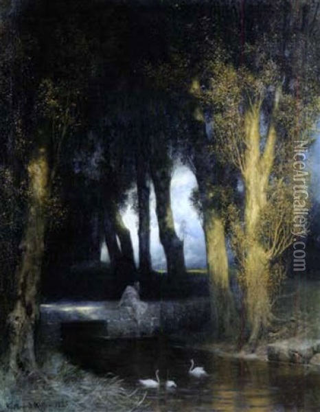 Bassin Avec Des Cygnes Au Crepuscule Oil Painting - Ferdinand Keller