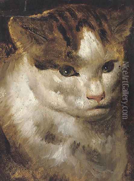 Study of a cat Oil Painting - Jacob Jordaens