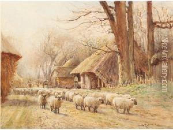 Sheep Being Driven Through A Farmyard Oil Painting - John Pedder