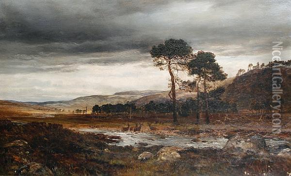 Deer In A Stormy River Landscape Oil Painting - Charles Stuart