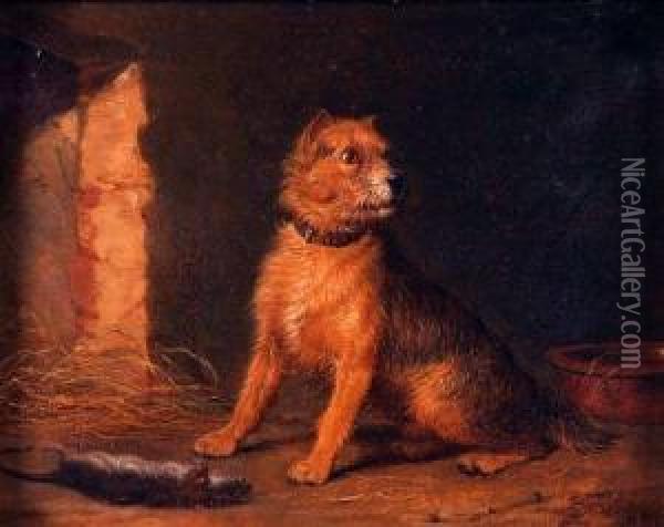 A Terrier Ratting Oil Painting - Martin Theodore Ward