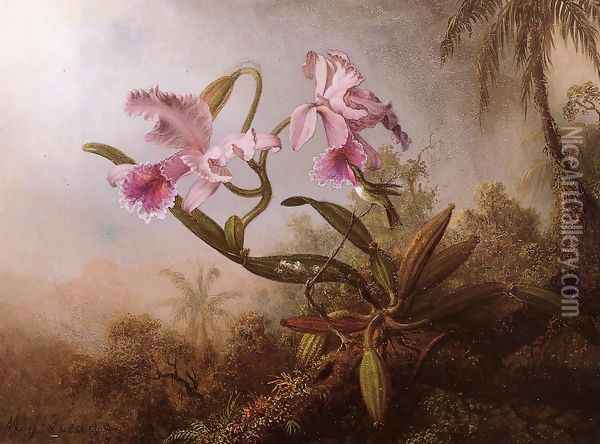 Orchids And Hummingbird2 Oil Painting - Martin Johnson Heade