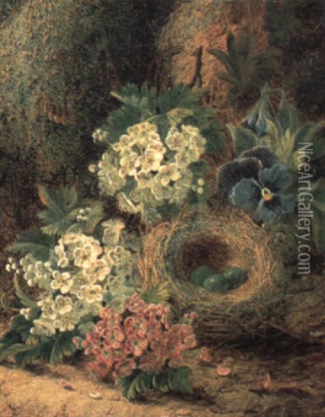 A Hedge Sparrow's Nest, Pansies And Hawthorn On A Mossy Bank Oil Painting - Oliver Clare